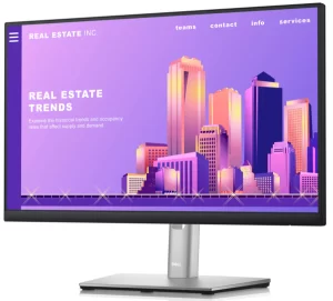 Dell P2222HN 22" Inch Monitor